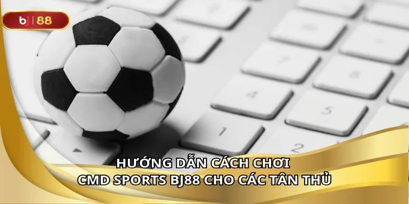 Chơi đúng cách từ đầu để không bỏ lỡ phần thưởng