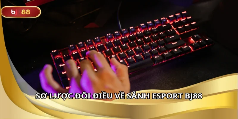 Esport BJ88 lựa chọn hàng đầu cho fan đam mê thể thao điện tử