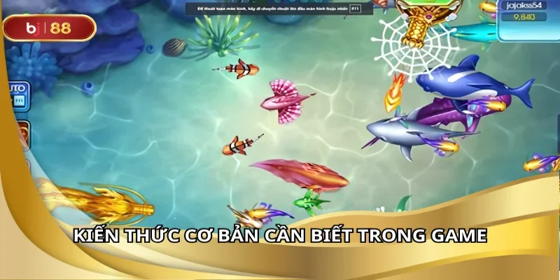 Kiến thức cơ bản cần biết trong game