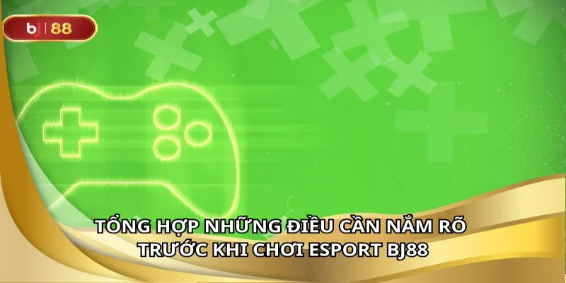 Phổ cập kiến thức chơi esport từ A đến Z cho tân thủ